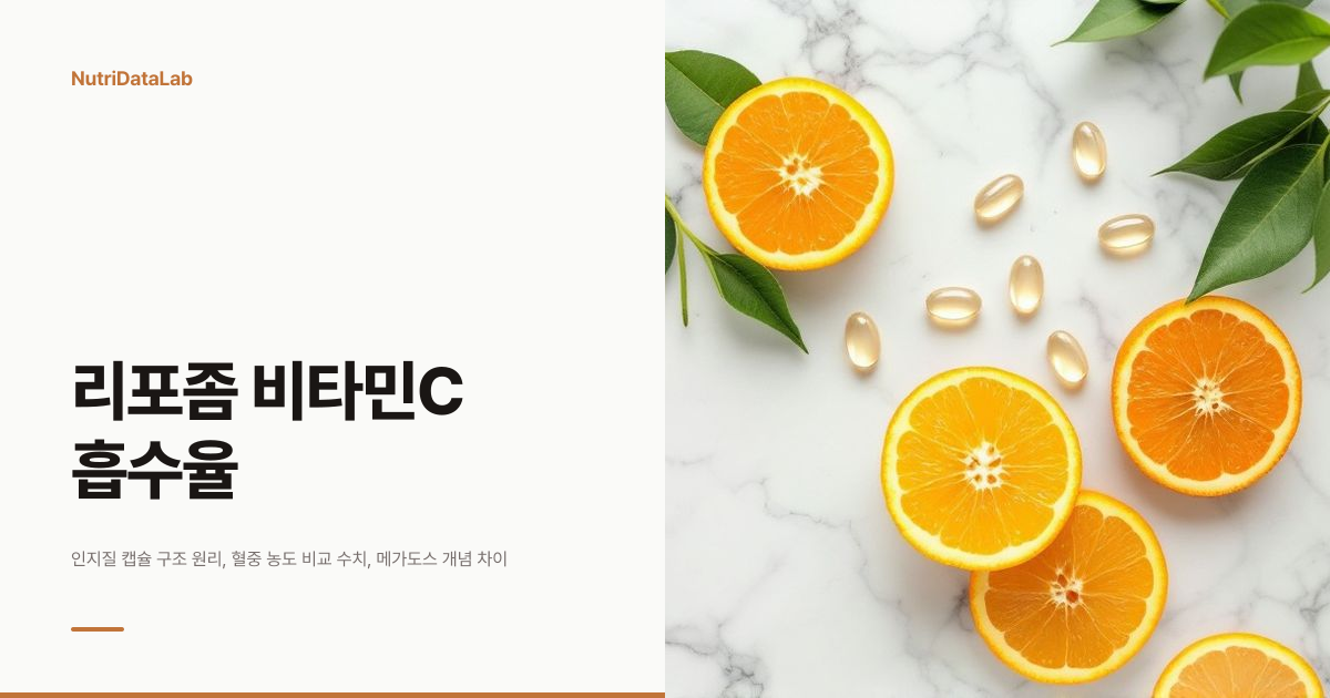 리포좀 비타민C 흡수율, 일반 제형과 혈중 농도가 얼마나 다른가요