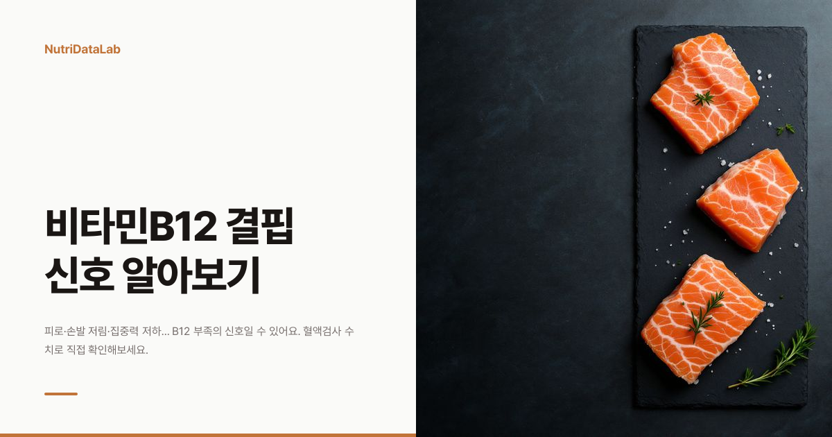 비타민B12 결핍 증상, 혈액검사 기준, 위험군 총정리